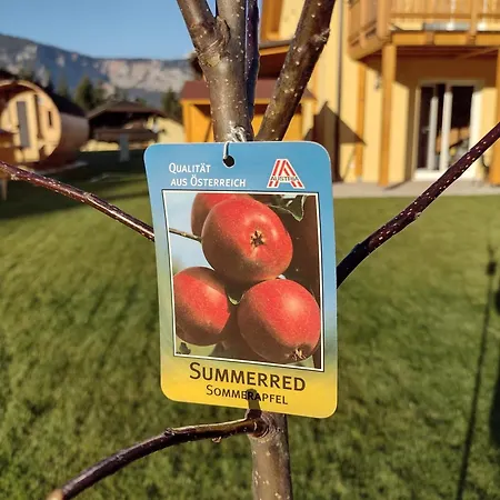 Seltschach 193 Arnoldstein