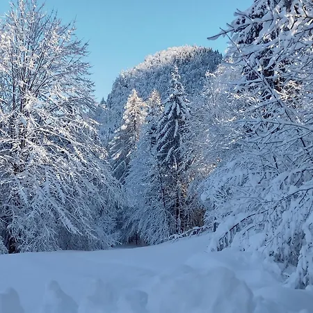 Seltschach 193 * ארנולדשטיין