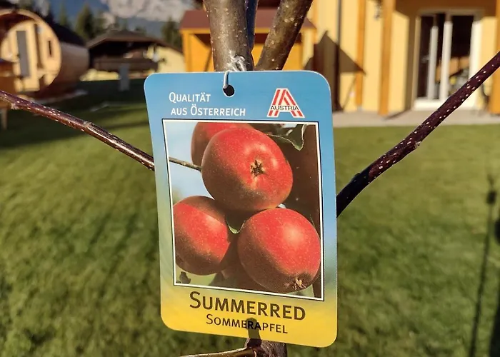 Seltschach 193 Arnoldstein